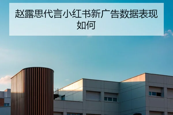 zhao-lu-si-dai-yan-xiao-hong-shu-xin-guang-gao-shu-ju-biao-xian-ru-he-2-339.jpg